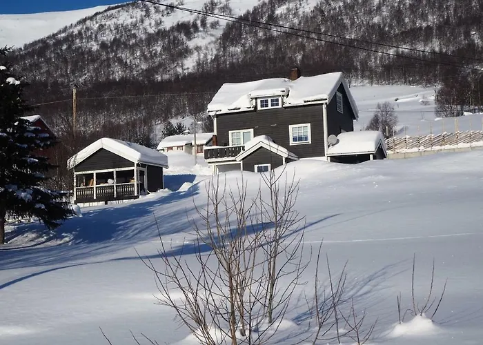 Between Ustaoset And Apartmán Geilo