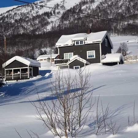 Between Ustaoset And Lägenhet Geilo